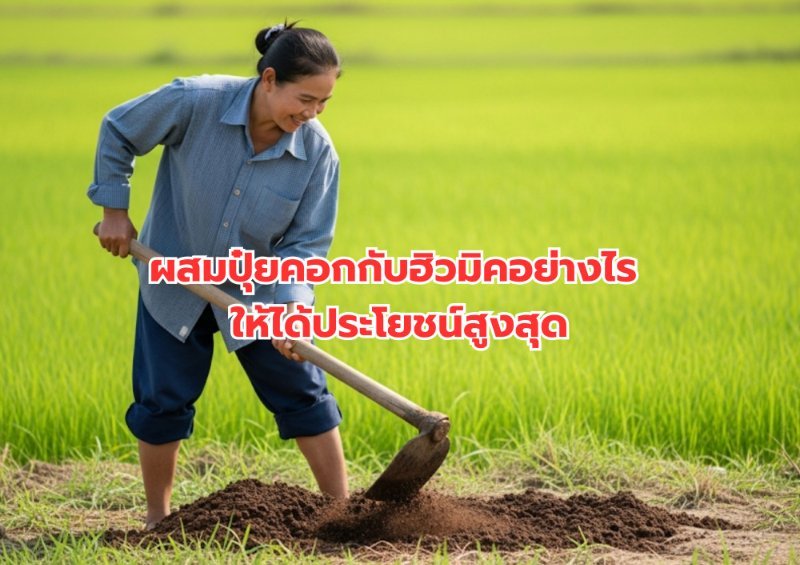 รูปภาพประกอบ