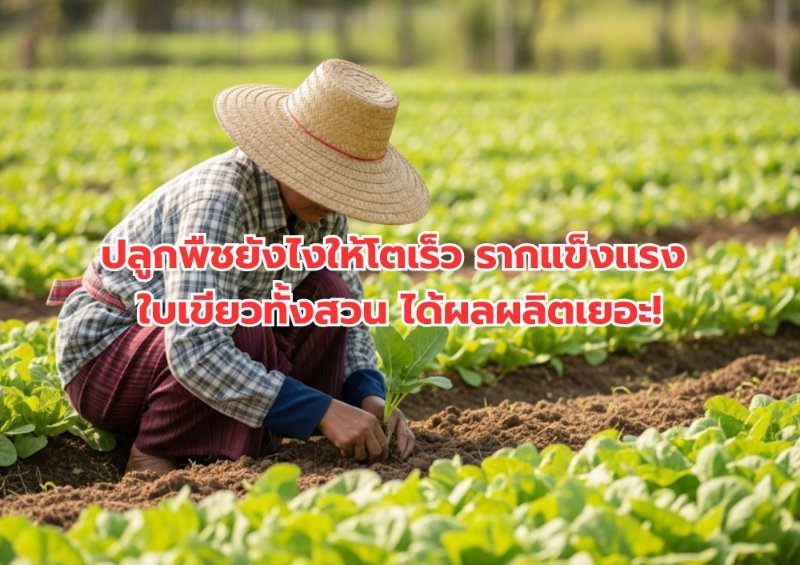 รูปภาพประกอบ