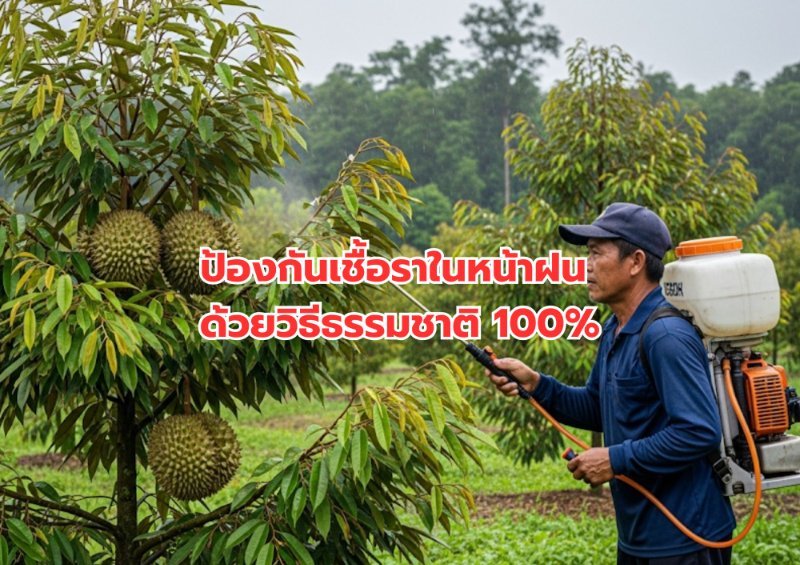 รูปภาพประกอบ