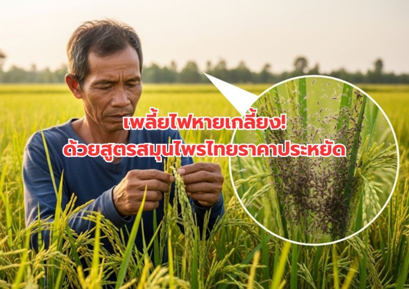 รูปภาพประกอบ