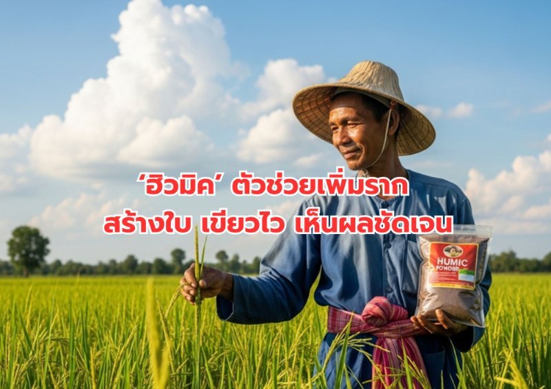 รูปภาพประกอบ