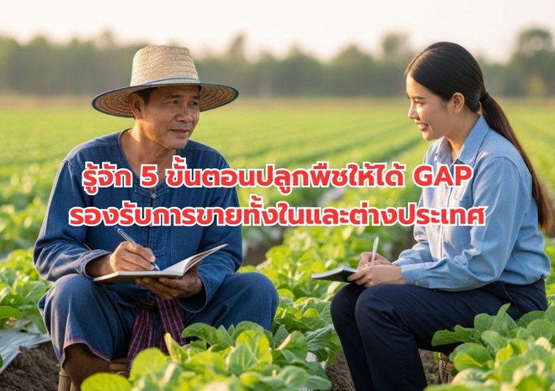 รูปภาพประกอบ