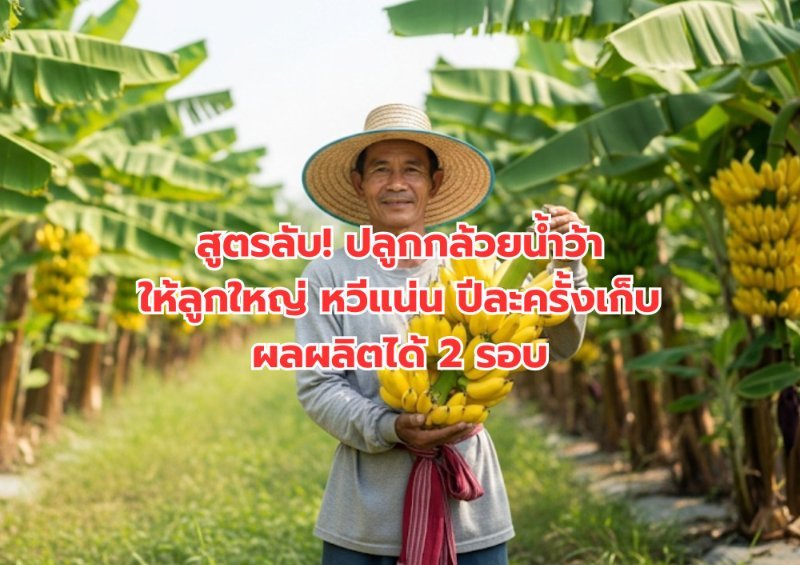 รูปภาพประกอบ