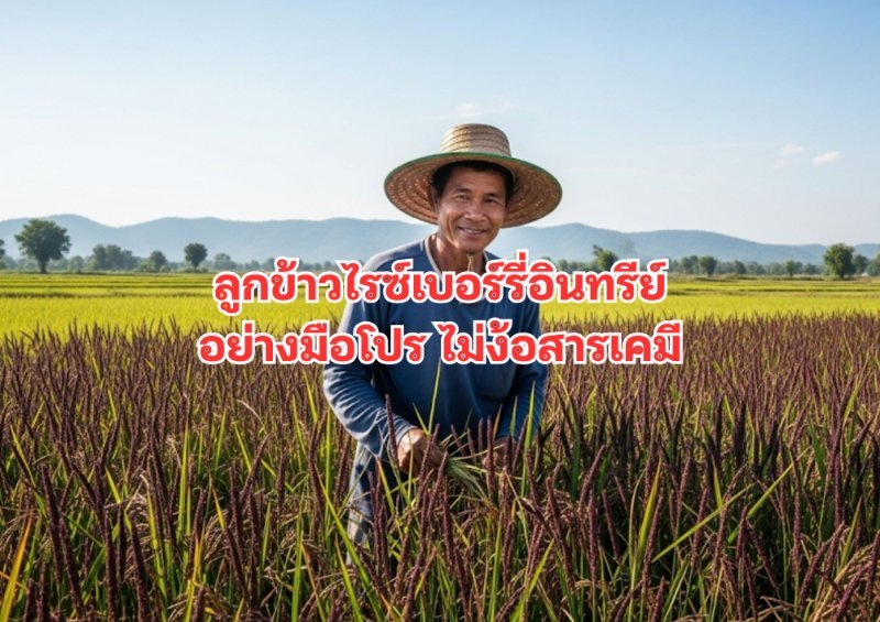 รูปภาพประกอบ