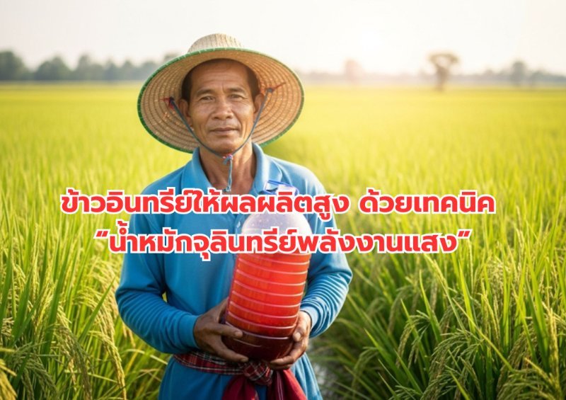 รูปภาพประกอบ
