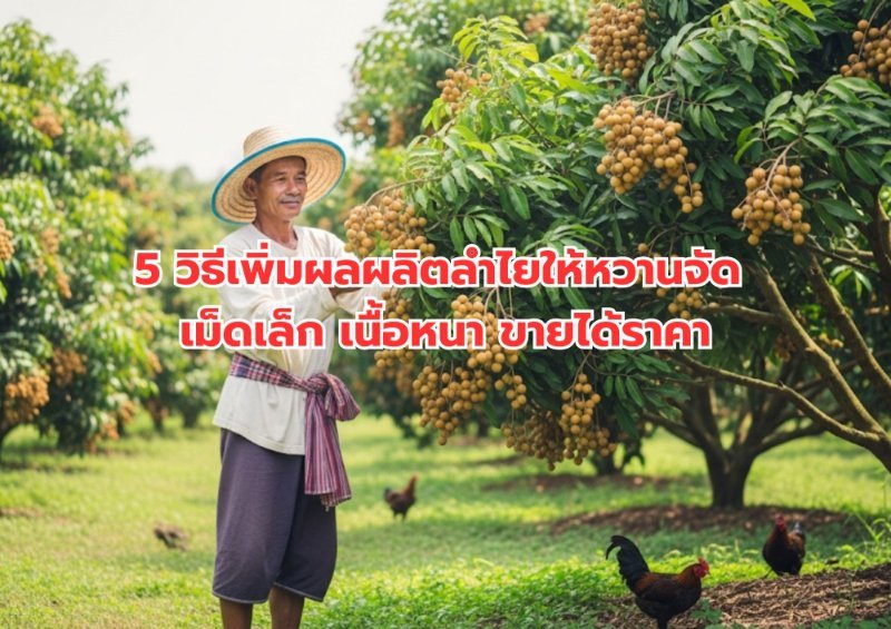 รูปภาพประกอบ