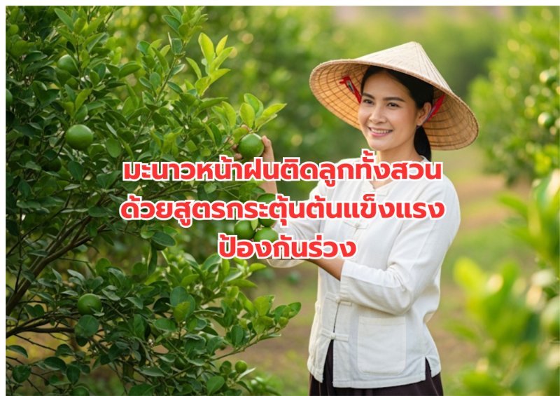 รูปภาพประกอบ