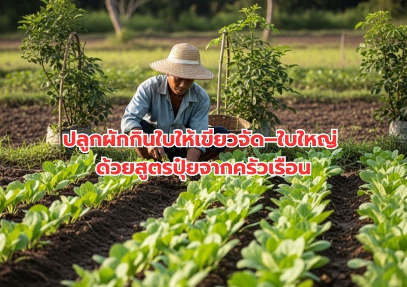 รูปภาพประกอบ