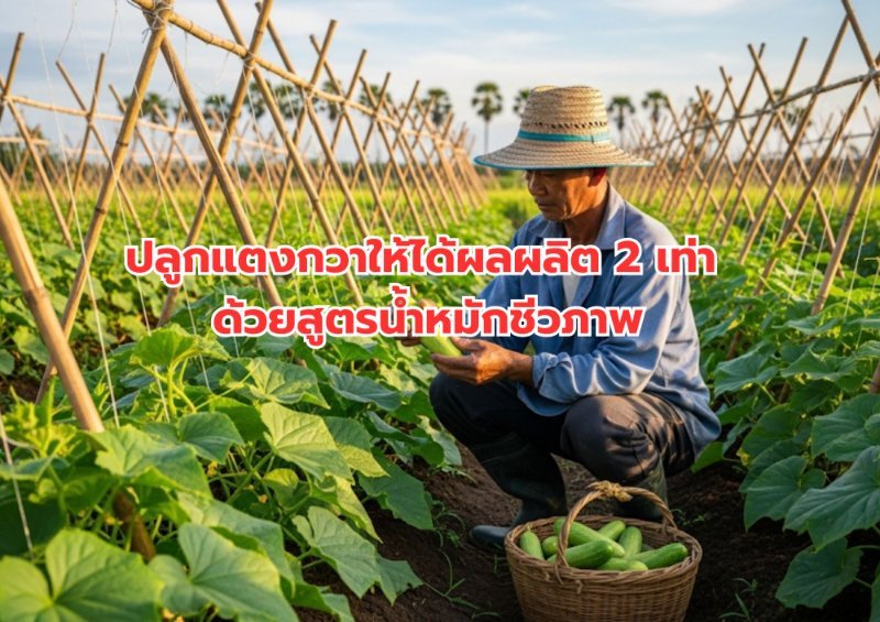 บทความ