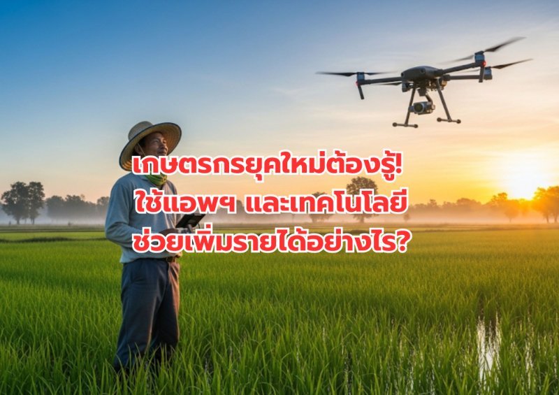 บทความ