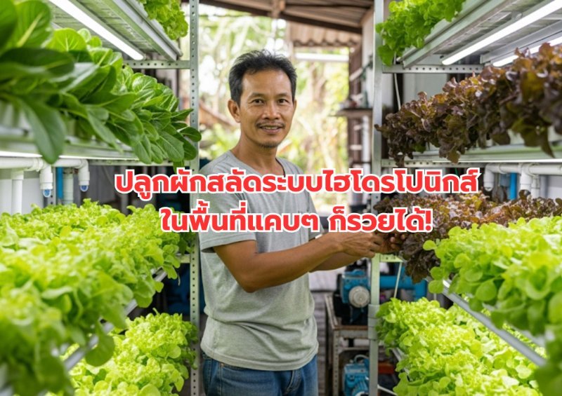 บทความ
