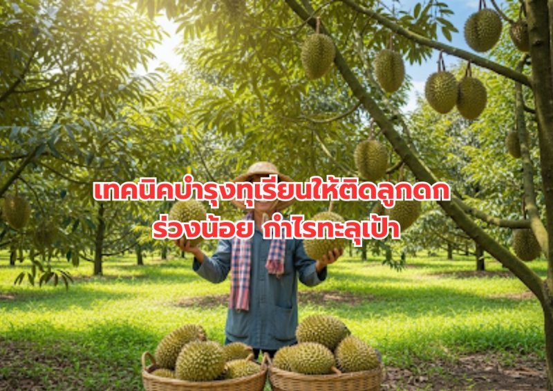 บทความ