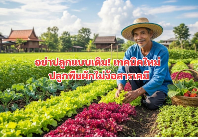 บทความ