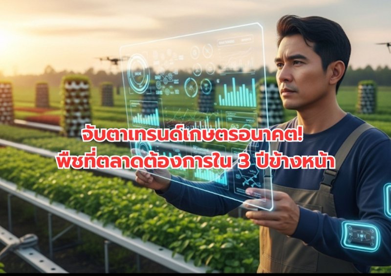 บทความ