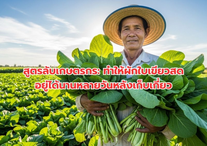บทความ