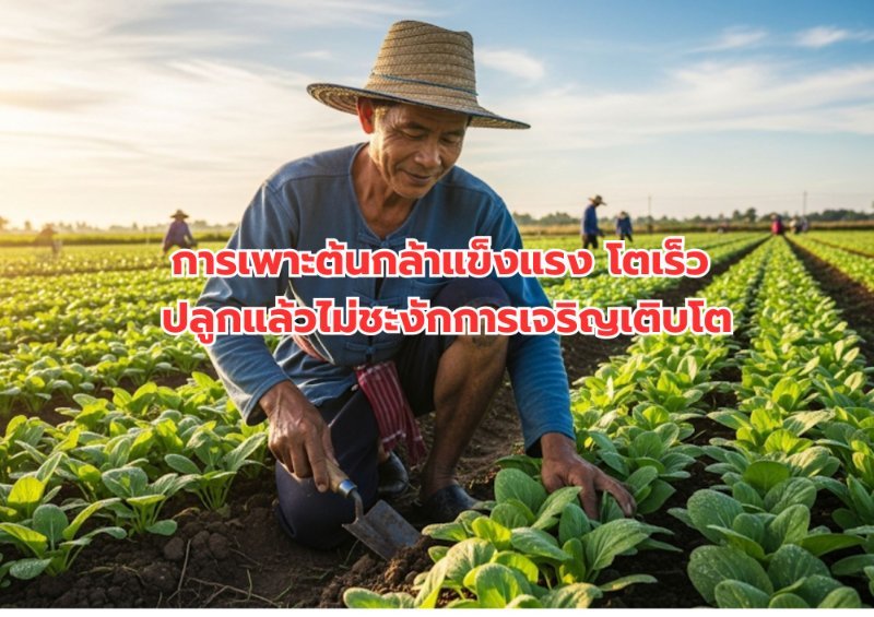 รูปภาพประกอบ