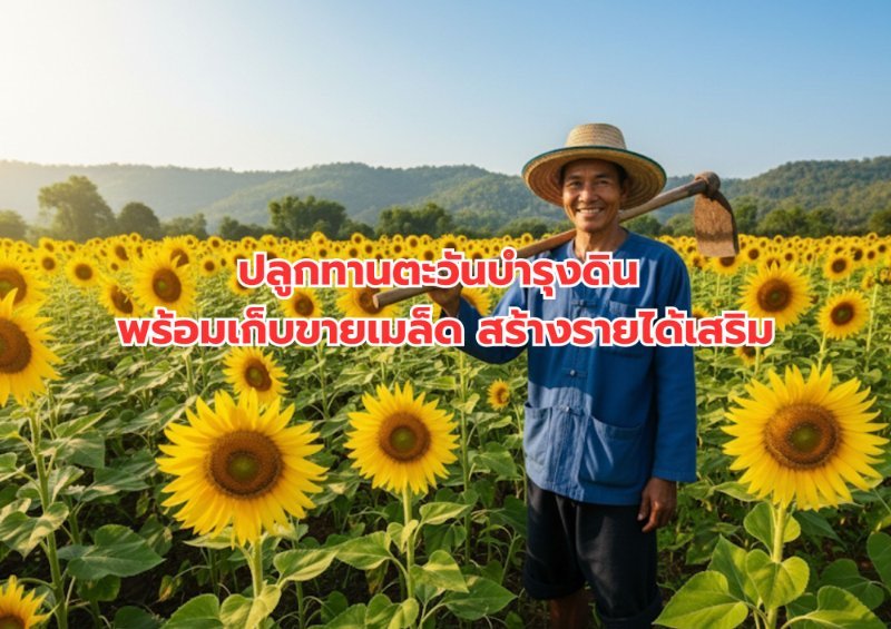 รูปภาพประกอบ