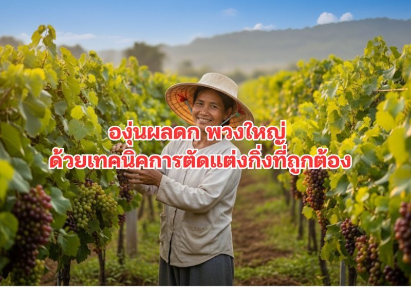 รูปภาพประกอบ