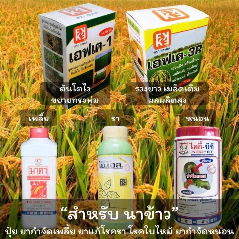 รูปภาพประกอบ