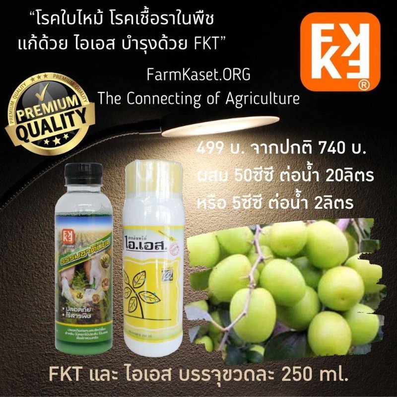 รูปภาพประกอบ