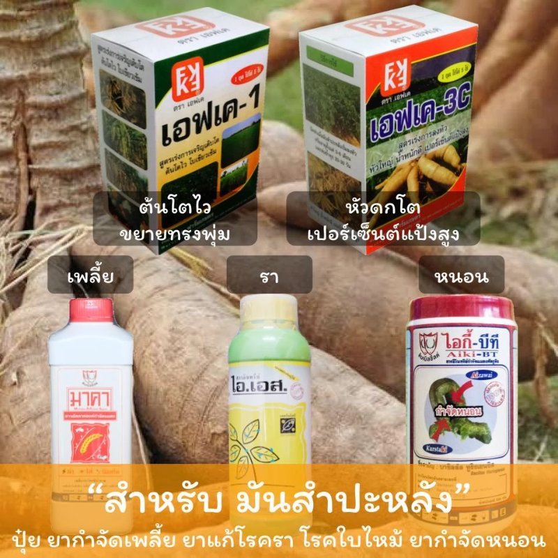 รูปภาพประกอบ