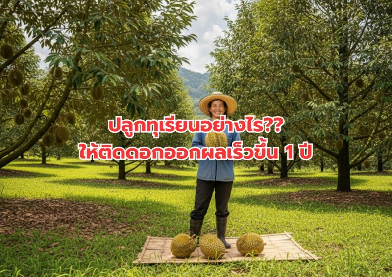 รูปภาพประกอบ