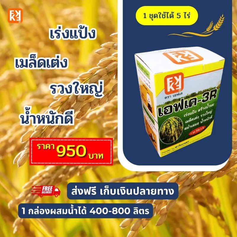 รูปภาพประกอบ
