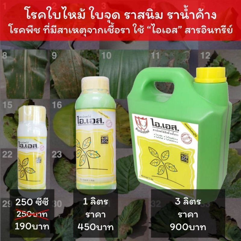 รูปภาพประกอบ