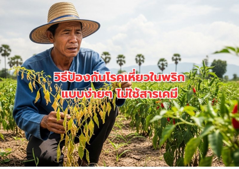 รูปภาพประกอบ
