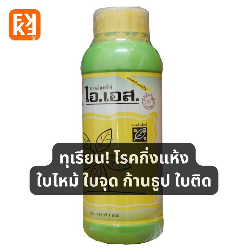 รูปภาพประกอบ