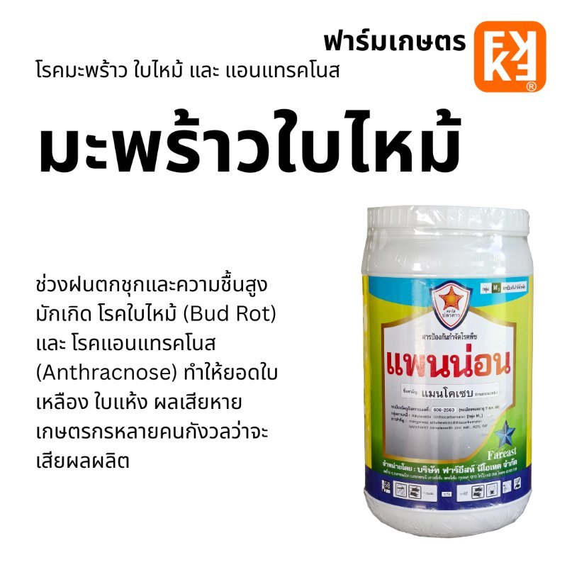 รูปภาพประกอบ