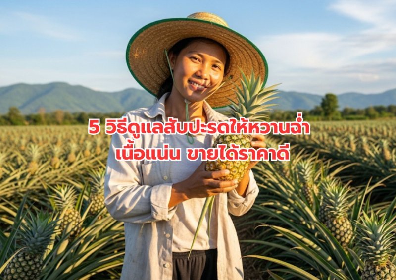 รูปภาพประกอบ