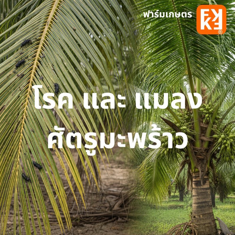 รูปภาพประกอบ
