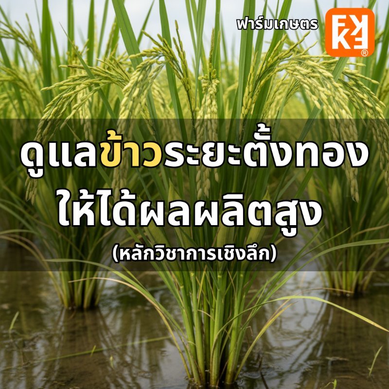 รูปภาพประกอบ
