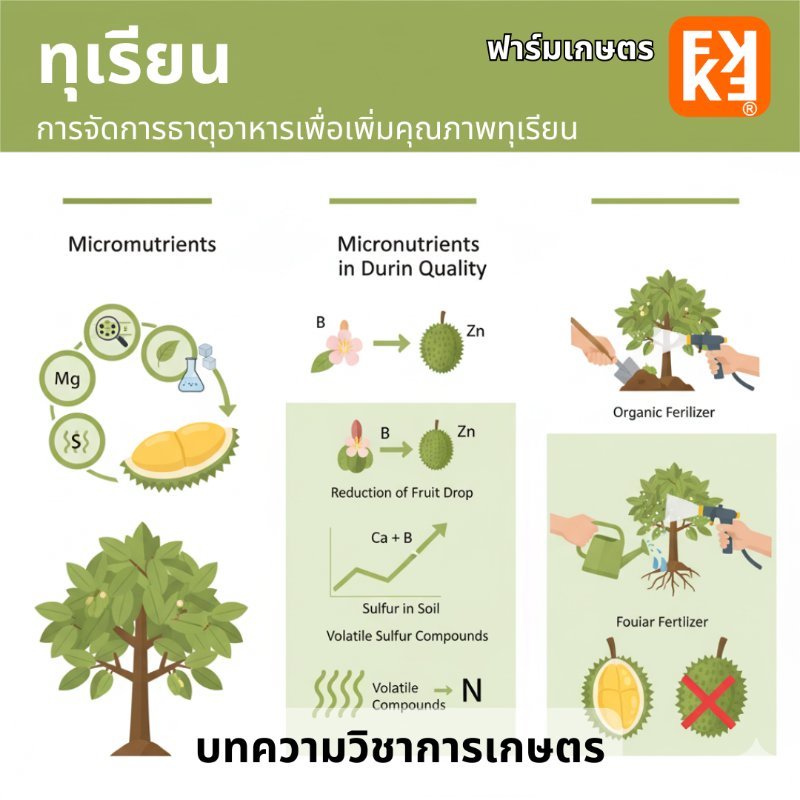 รูปภาพประกอบ