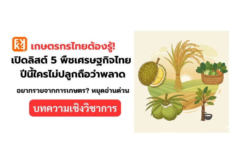 บทความ