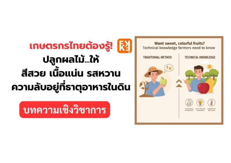 บทความ