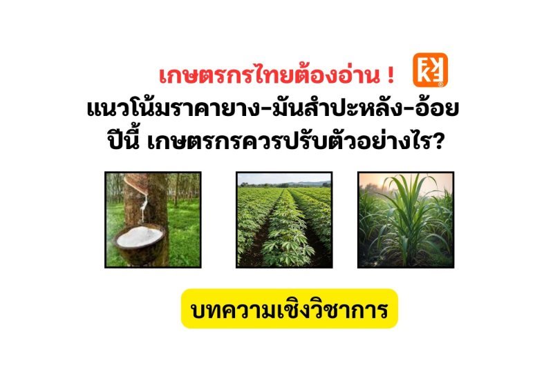 บทความ