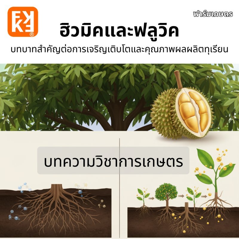 รูปภาพประกอบ