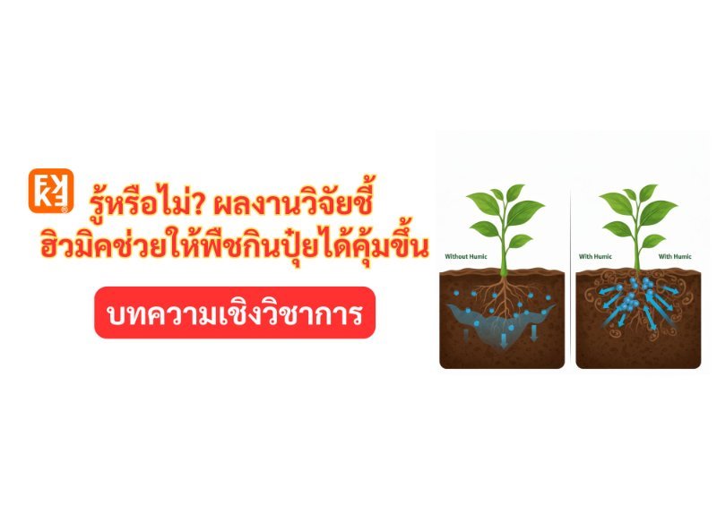 รูปภาพประกอบ