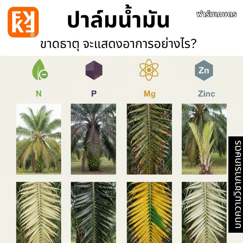 รูปภาพประกอบ