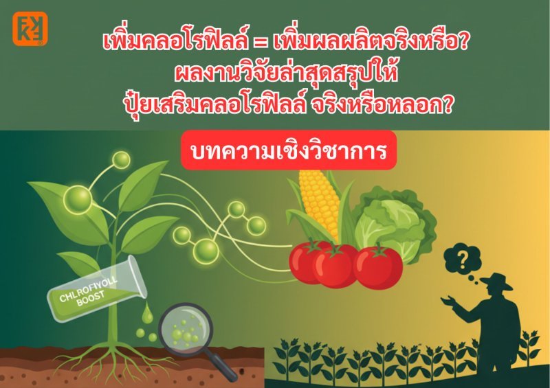 รูปภาพประกอบ