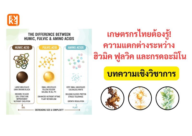 รูปภาพประกอบ