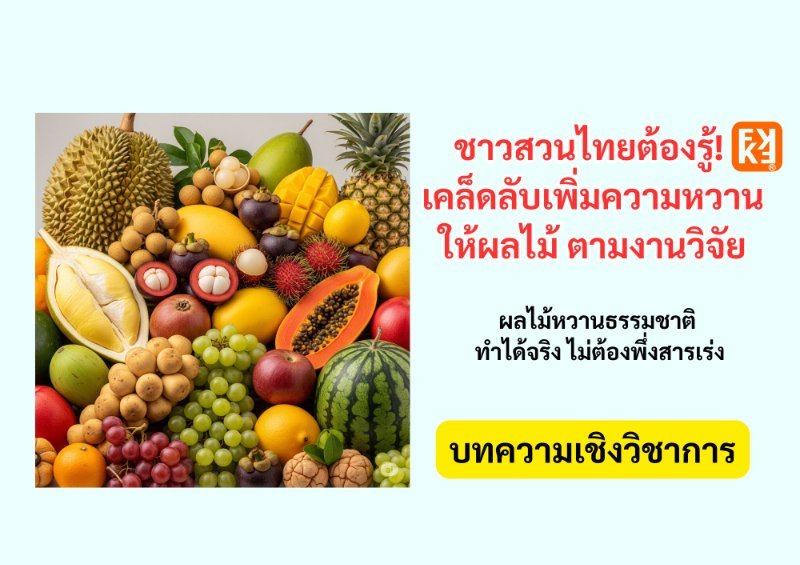 รูปภาพประกอบ