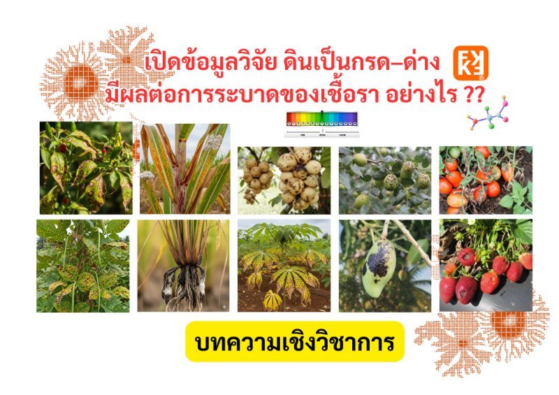 รูปภาพประกอบ