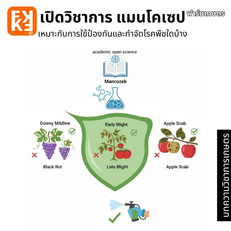 รูปภาพประกอบ