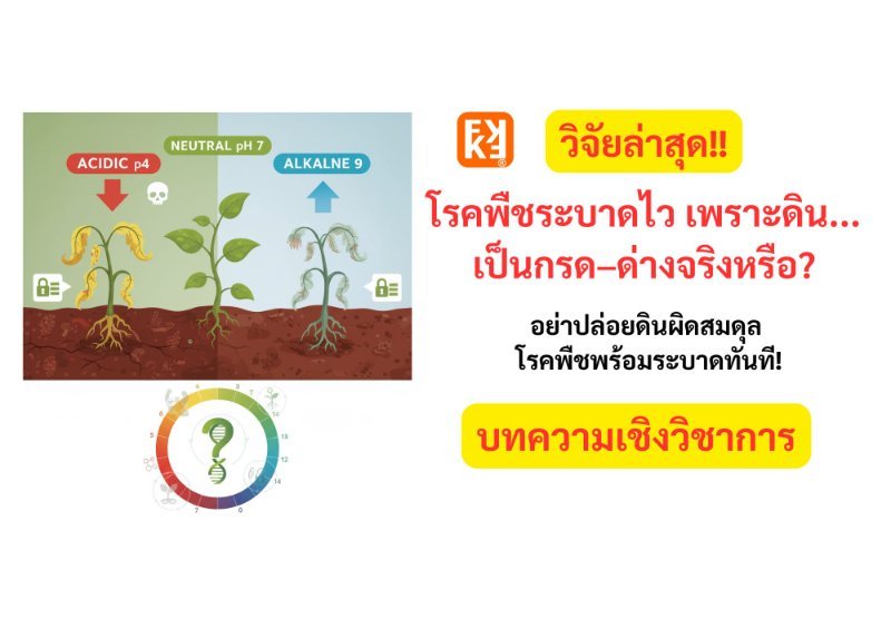 รูปภาพประกอบ