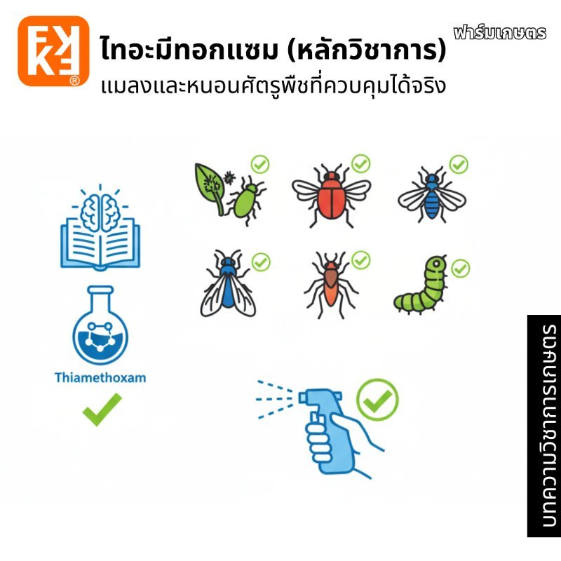รูปภาพประกอบ