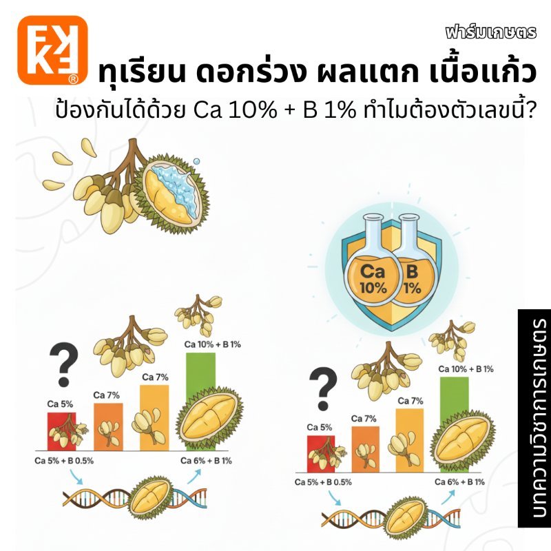 รูปภาพประกอบ