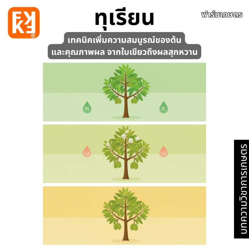 รูปภาพประกอบ